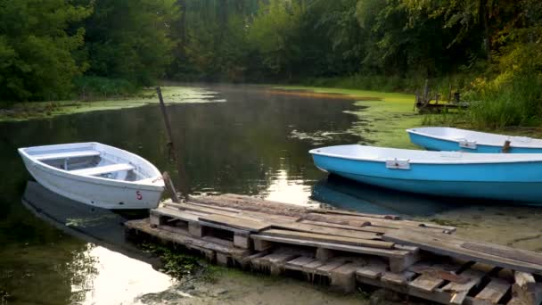 Holzboote nahe der alten Seebrücke - Filmmaterial, Video