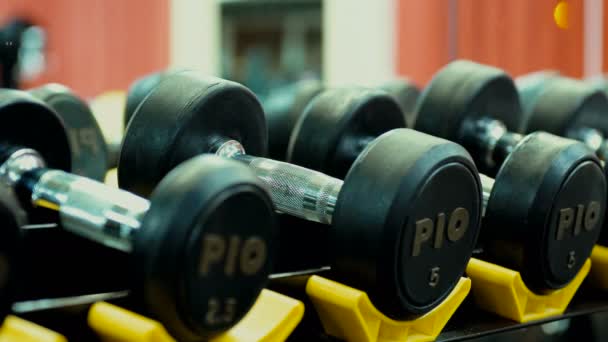 Dumbbells in a gym - Footage, Video