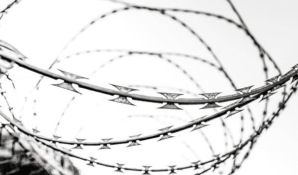 fence with barbed wire and sky, closeup  - Photo, Image