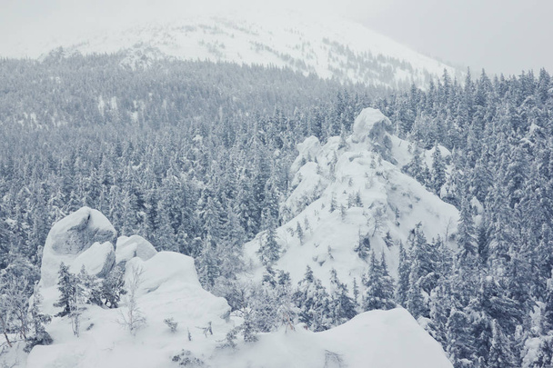 Beautiful winter landscape with snow covered trees - Φωτογραφία, εικόνα