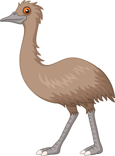 kreskówka emu izolowane na białym tle - Wektor, obraz