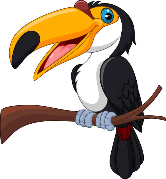 Dibujos animados pájaro tucán aislado sobre fondo blanco
 - Vector, Imagen