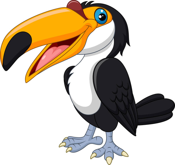 Karikatura toucan pták izolovaný na bílém pozadí - Vektor, obrázek