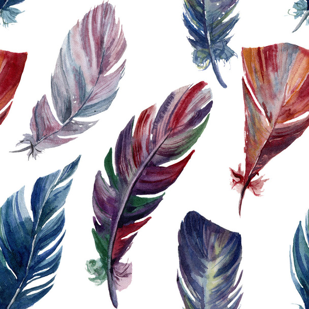 Watercolor pattern with rainbow feathers. Hand painted vibrant boho illustration isolated on white background. Illustration with bird feather for design or fabric. - Photo, Image