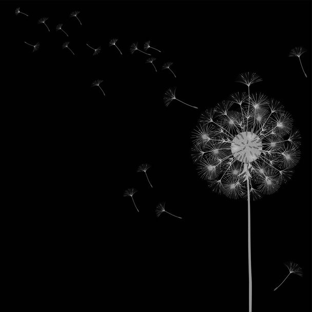 Abstract background of a dandelion for design. - Vector, Image