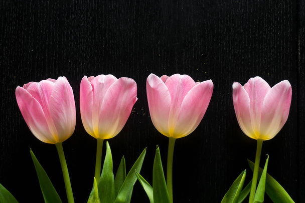 Bordure de fleurs de tulipes rose vif sur fond en bois noir
. - Photo, image