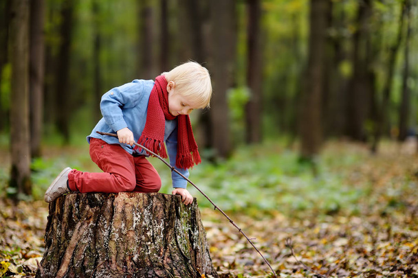 Little boy playing on wooden stump during stroll in the forest - Foto, Imagen