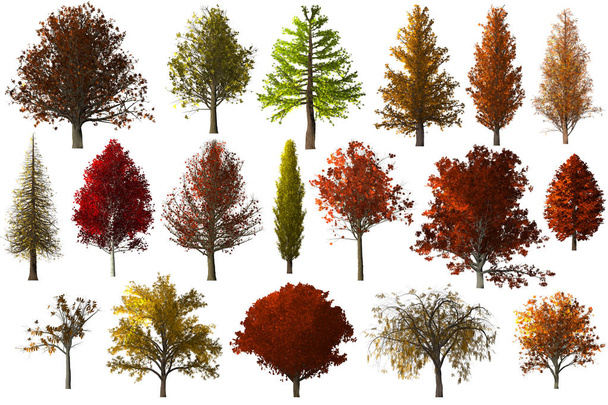 Herbst Herbst Baum Laub Sammlung Set isoliert 3d Illustration - Foto, Bild