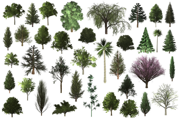 set d'arbres pour l'architecture aménagement paysager
 - Photo, image