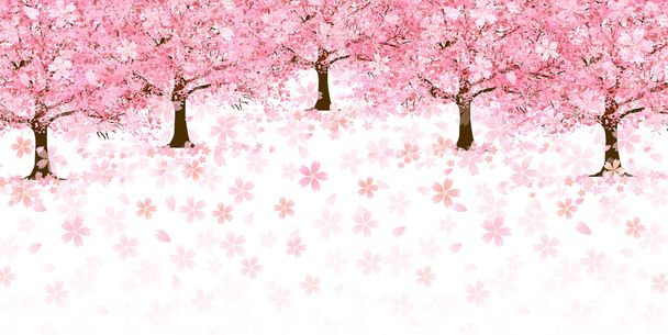 Flores de cerezo Fondo de flores de primavera
 - Vector, imagen