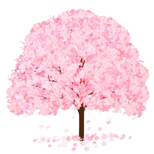 Flores de cerezo icono de la flor de primavera - Vector, imagen