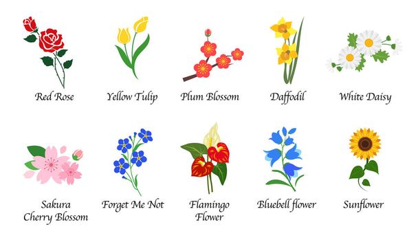 Οργανικής φύσης Βοτανικός κήπος λουλουδιών απομονωμένη διάνυσμα συλλογή  - Διάνυσμα, εικόνα