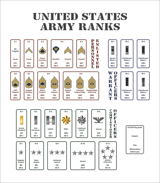 set of the ranks of the united states army - Vector, Image