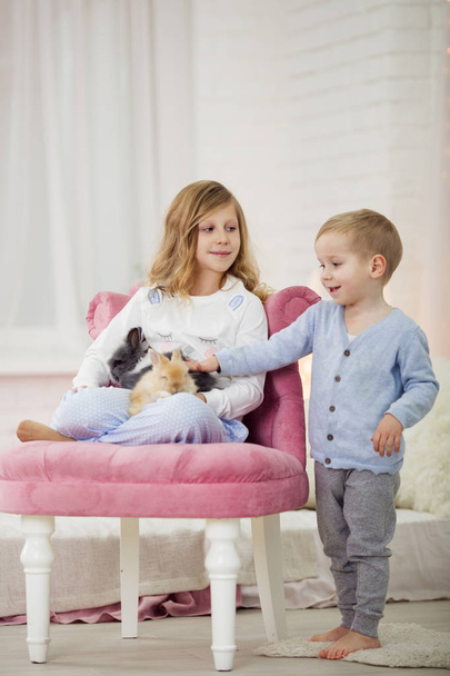 Милая маленькая девочка с братом дома играют с кроликами
 - Фото, изображение