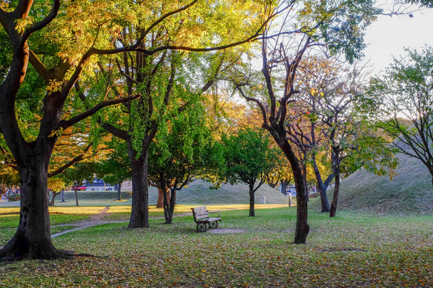 Tümülüsler park Kraliyet mezarı tezgah - Fotoğraf, Görsel