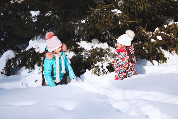 Dvě holčičky hrají v destinaci winter park - Fotografie, Obrázek