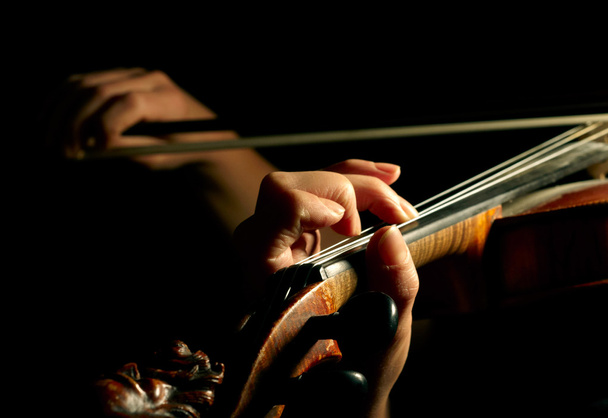 Musician playing violin isolated on blac - 写真・画像