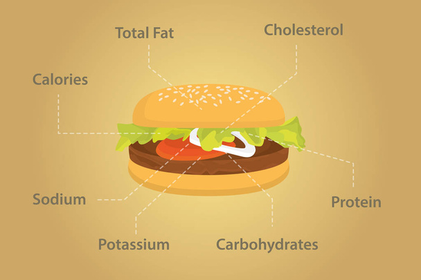 hamburger nutrition fact details with flat style - Vektor, obrázek