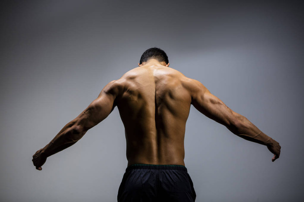 Male Fitness Model Back Muscles - Foto, Imagem