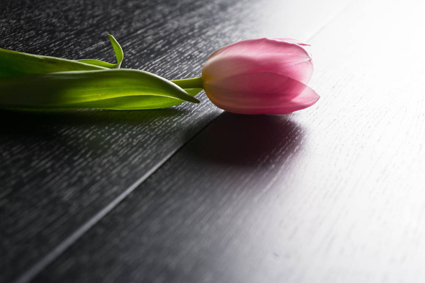 Bordüre aus leuchtend rosa Tulpenblüten auf schwarzem Holzhintergrund. - Foto, Bild