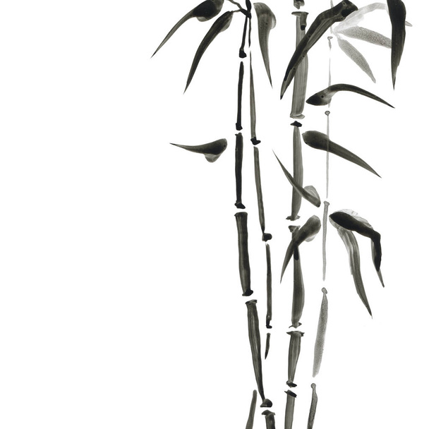 Бамбук в японском стиле. Иллюстрация акварели
 - Фото, изображение