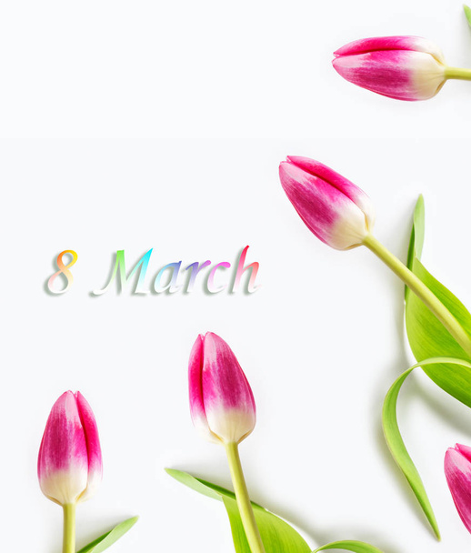 spring flowers tulips  - 写真・画像
