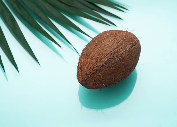 Noix de coco avec une feuille de palme sur fond pastel
  - Photo, image