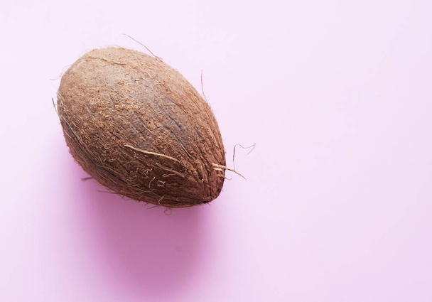 Coconut on colorful background. - Photo, Image