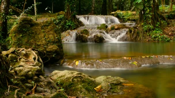 Kirkas vesi virtaa vesipatsaita pitkin trooppisessa sademetsässä
 - Materiaali, video