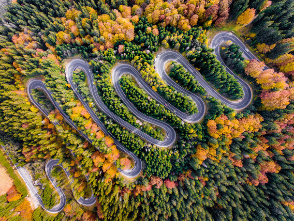 Vinutí dálnice přes les na podzim - Fotografie, Obrázek