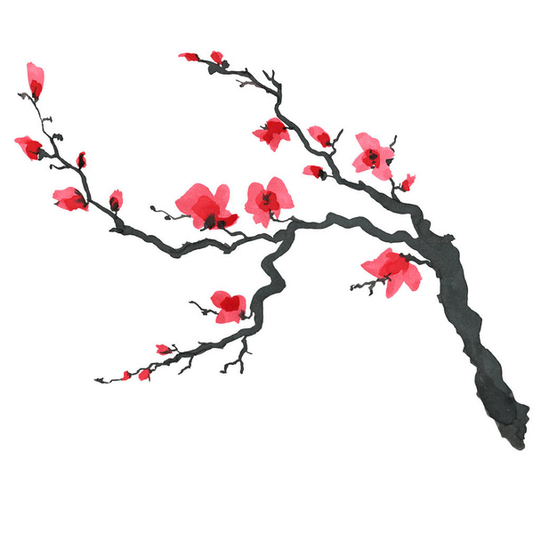 Sakura tree in Japanese style. Watercolor hand painting illustration - Foto, Imagen
