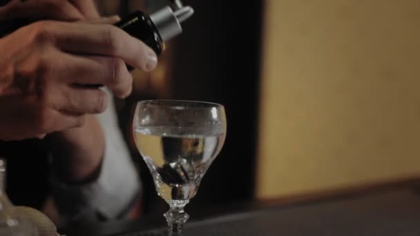 Barkeeper zeigt seine Kunst des Mixintrinkens - Filmmaterial, Video