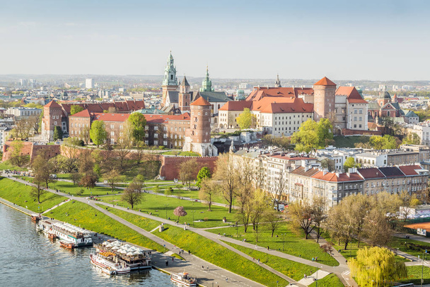 Замок Вавель розташований у центрі міста Краків, Польща - Фото, зображення
