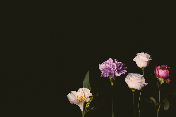 vista ravvicinata di bella composizione floreale con fiori rosa e viola isolati su nero
 - Foto, immagini