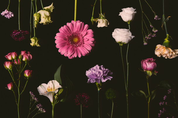 composição de belas várias flores florescentes isoladas em preto
 - Foto, Imagem