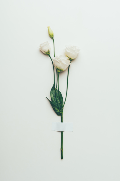 hermosas flores de eustoma blanco tierno con hojas verdes en gris
 - Foto, imagen