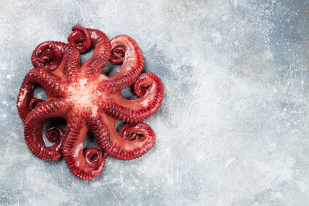 Raw octopus cooking on stone table. Seafood. Top view with space for your recipe - Valokuva, kuva