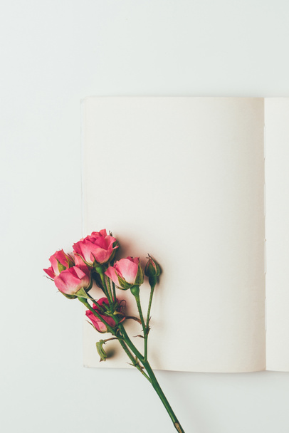 美しいピンクのバラのトップ ビュー ブランチとグレーに分離された空白のカード - 写真・画像