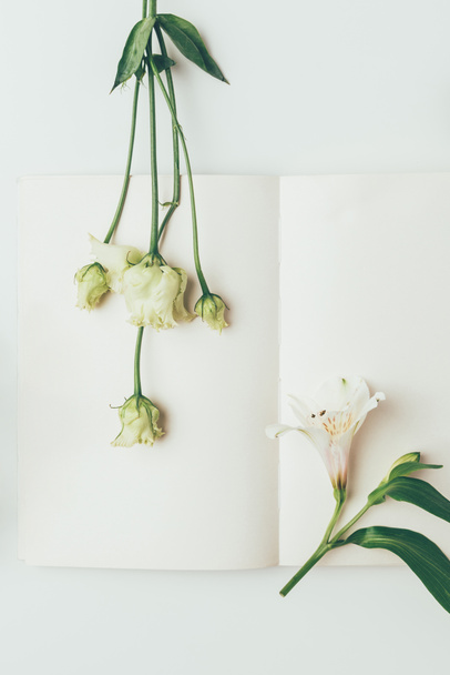 top view of beautiful tender white flowers and blank greeting card on grey - 写真・画像