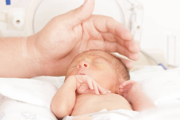 Newborn baby inside incubator - Foto, Imagen