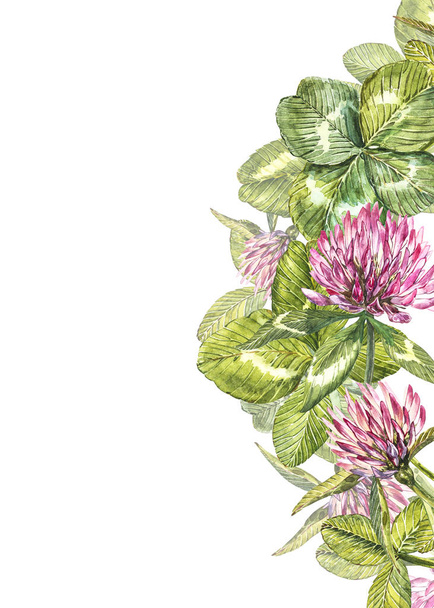 Hand-drawn watercolor red clover flower illustration. Painted botanical three-leaved meadow grass, isolated on white background. Happy St.Patrick s Day card compositions. - 写真・画像