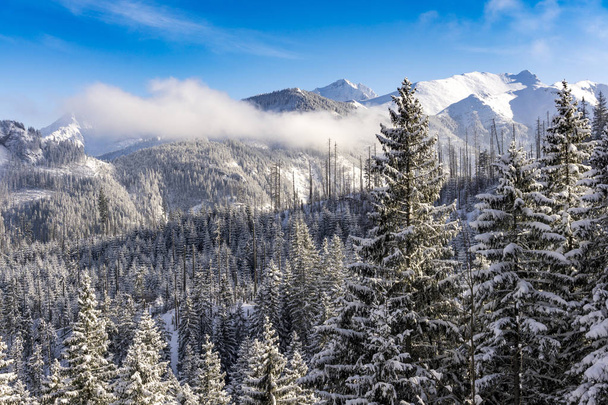 De grote toppen van de Hoge Tatra bergen in de winter landsc - Foto, afbeelding