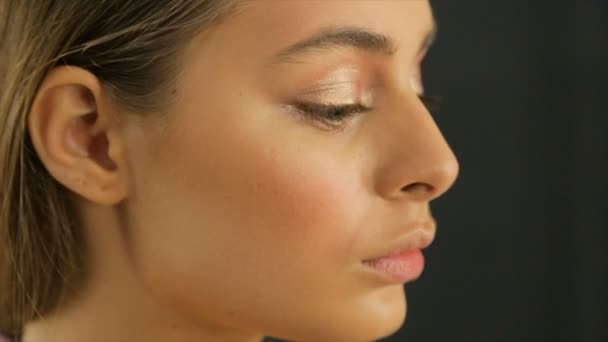 Professional make-up artist makes eyebrow correction for the model - Filmagem, Vídeo