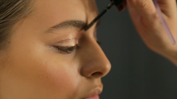 Professional make-up artist makes eyebrow correction for the model - Footage, Video