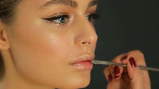 Professional make-up of female lips - Кадры, видео