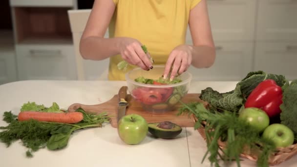 Woman Makes Vegetable Salad - Materiał filmowy, wideo