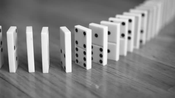 Close-up view of falling Dominoes. Black and white. - Footage, Video