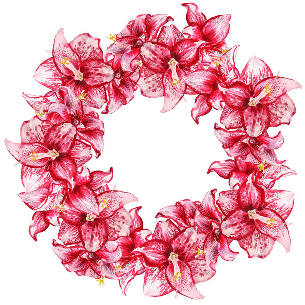 amaryllis flowers wreath - Fotografie, Obrázek