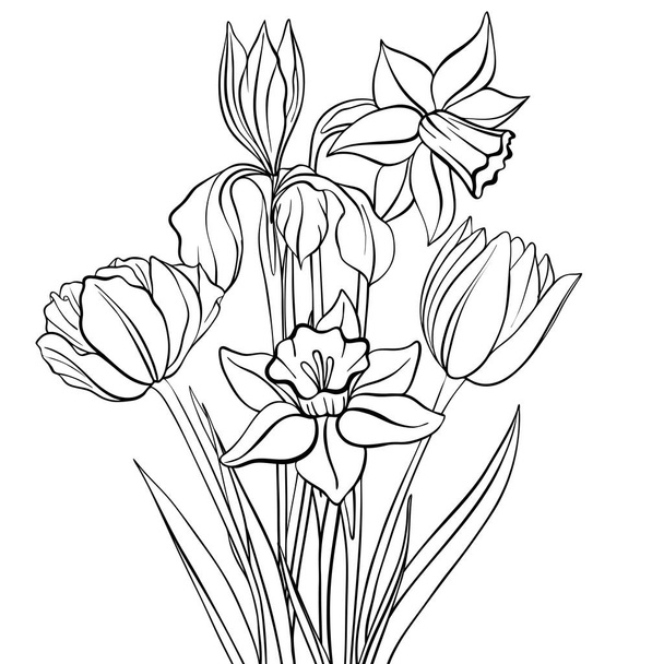 vector drawing flowers - ベクター画像