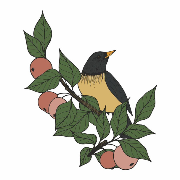 Vector illustration with a bird and apple tree branches - Vektori, kuva